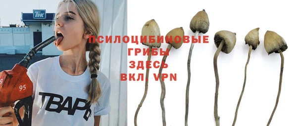 твердый Аркадак