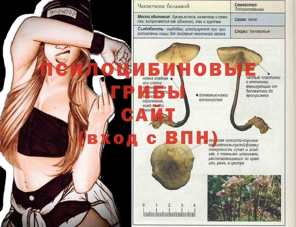 твердый Аркадак