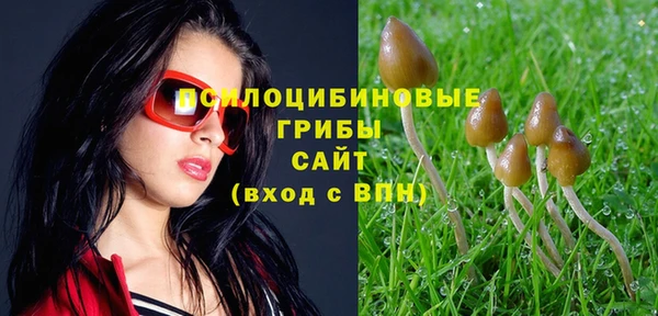 mix Армянск