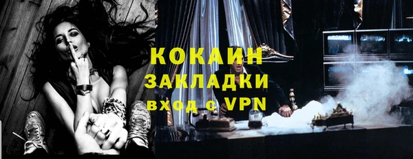 твердый Аркадак